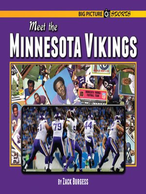 cover image of Meet the Minnesota Vikings